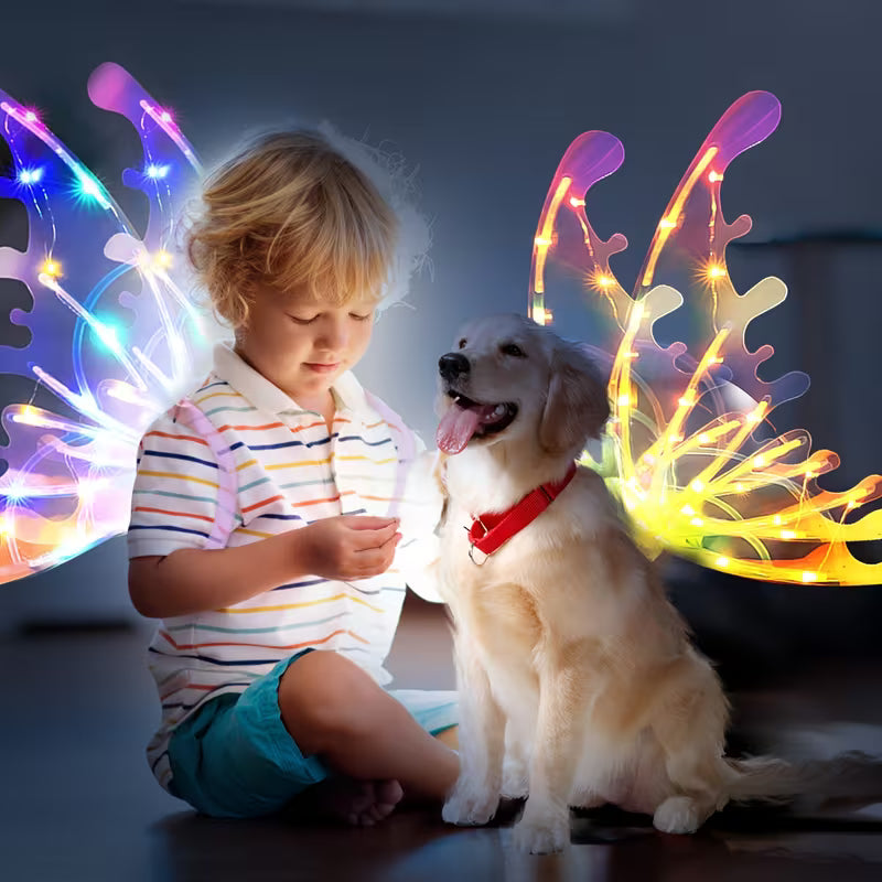 Fairy Wings with LED Lights & Music